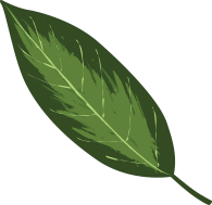 Diyetisyen İlknur Dikici - Dekoratif Şekil